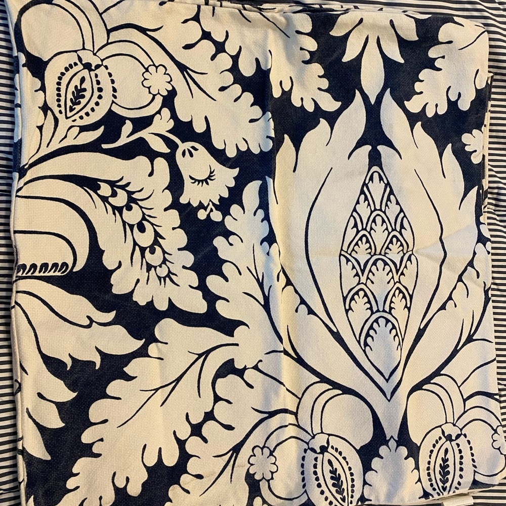 Pottery Barn Euro Shams (2)